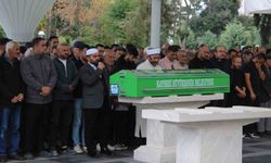 Ağaçtan düşen öğretmen hayatını kaybetti