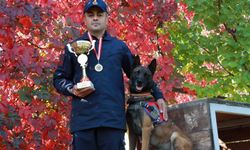 Görev Köpeği “Çakıl” Türkiye Birincisi Oldu!