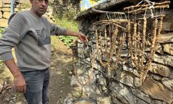 Bağ bozumu başladı