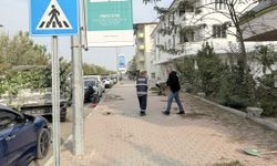 IĞDIR’DA KALDIRIM TEMİZLİĞİ VE AĞAÇ BUDAMA ÇALIŞMALARI SÜRÜYOR