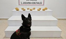 Çuvalda 11 kilo 958 gram toz esrar ele geçirildi