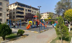 Güneşli Havanın Tadını Çıkardılar