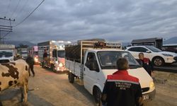 Denetimler sıkılaştırıldı