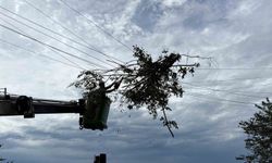 Elektrik arıza ekiplerinin rüzgâr mesaisi