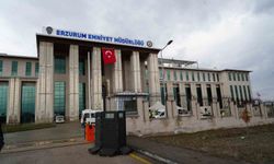 Erzurum'da sokak hayvanları talimatıyla ilgili idari inceleme başlatıldı