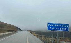 Erzurum'un yüksek kesimlerinde kar yağışı ve yoğun sis etkili oluyor