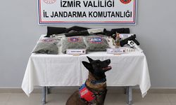 jandarmadan uyuşturucu operasyonu