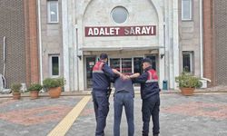 Uyuşturucu operasyonunda 1 kişi tutuklandı