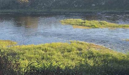 10 yaşındaki Hızır Ali hayatını kaybetti