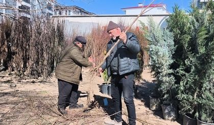 Iğdır’da Toprakla Buluşma Zamanı: Fidan Satışları Başladı!