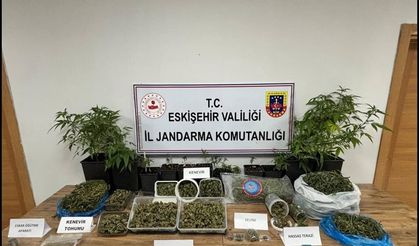 Ormanda uyuşturucu ticaretine jandarma engeli: 1 tutuklama