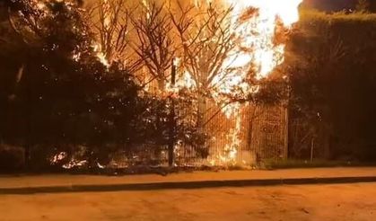 Sebepsiz yere ateşe verilen ağaç itfaiyeyi harekete geçirdi
