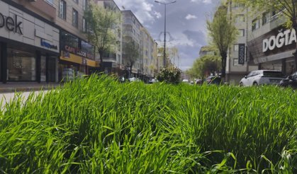 BAHAR YAĞMURLARI IĞDIR’I CANLANDIRDI!