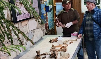 Fırtına sonrası ortaya çıkan kemikler incelendi