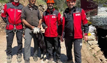 Mahsur kalan 2 keçi, 100 metrelik sarp araziden kurtarıldı