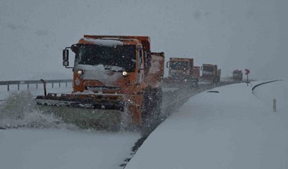 Van'da nisan sürprizi: Lapa lapa kar yağışı şehri beyaza bürüdü