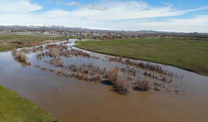 Kars Çayı taştı: Ağaçlar sular altında kaldı