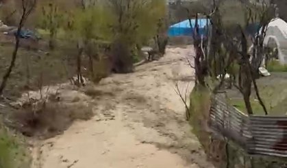 Şırnak'ta sel felaketinde silahla uyarı yapıldı