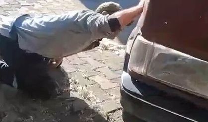 Aracın motor kısmına giren yılanı itfaiye ekipleri kürekle yakaladı