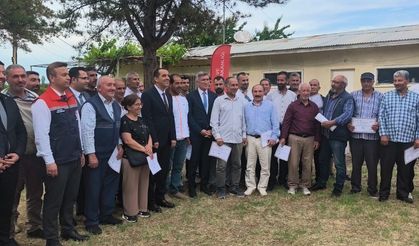 IĞDIR'DA 53 ARICIYA 300 ARILI KOVAN DAĞITILDI