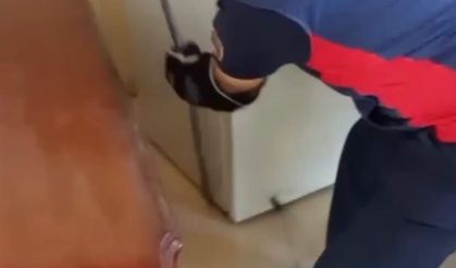 Hatay'da yerleşim yerlerine giren yılanlar yakalandı