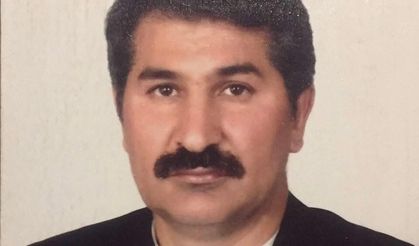 Boksun Efsane İsmi Ağacan Tabaru Yaşamını Yitirdi