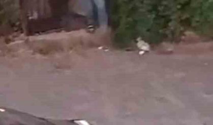Sokak ortasında silahlı kavga: 3 yaralı