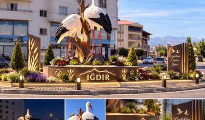 Iğdır Şehir Girişindeki Leylekler İçin Işıklandırma Talebi Artıyor