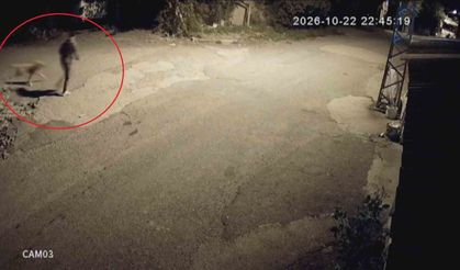 Motosikletle gelip köpeği çalan hırsızlara sitem: 'Köpek çalmak nedir'