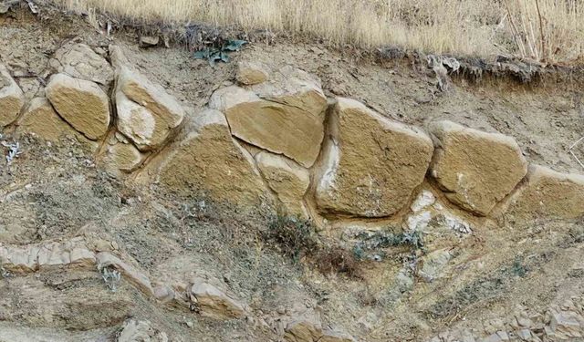 Yüksekova"da gizemli buluntu heyecanı: Esnaf tarihçilere çağrı yaptı