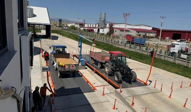 Iğdır"da 4 Bin Ton Mısır Alındı
