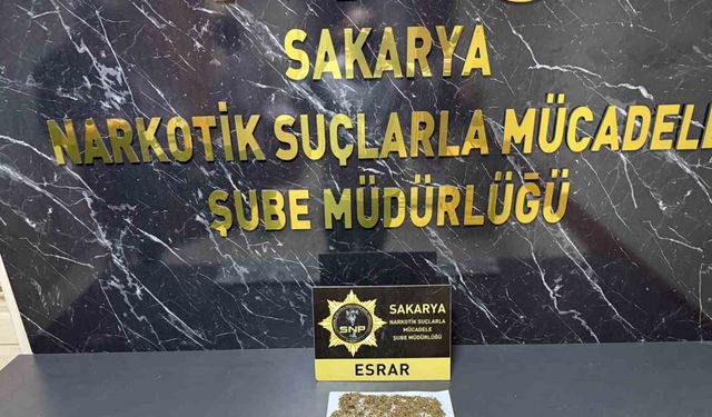 İstanbul’da çaldılar, Sakarya’da yakalandılar