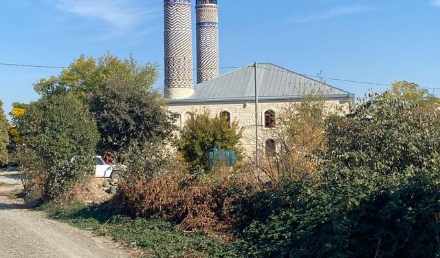 Camide Domuz Beslediler