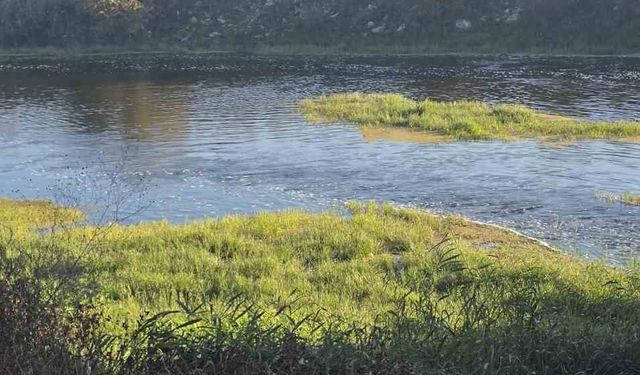 10 yaşındaki Hızır Ali hayatını kaybetti