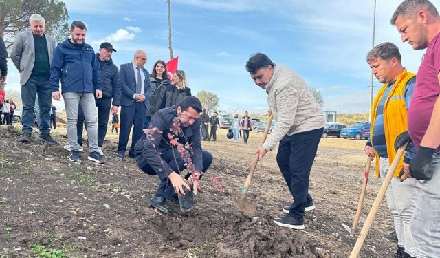 Ağaçlandırma günü etkinliği Havran’da gerçekleştirildi