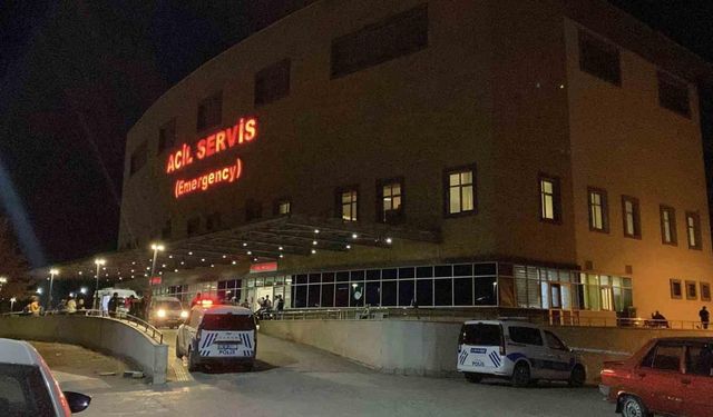 ‘Hayvan otlatma’ kavgası kanlı bitti: Komşusunu öldürüp intihar etti