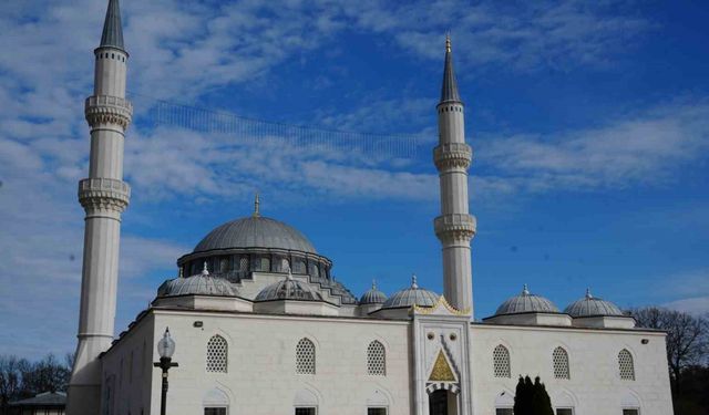 Muazzez Abacı’nın kızı Aslı Abacı: "Annem antibiyotik tedavisine ters reaksiyon verdi"