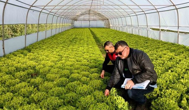 sera denetimleri gerçekleştirildi