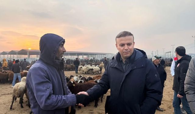 İL MÜDÜRÜ TİNGİŞ CANLI HAYVAN PAZARINDA DENETİM GERÇEKLEŞTİRDİ