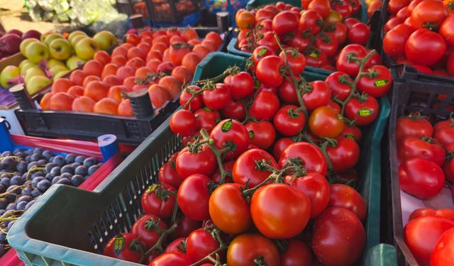 IĞDIR'DA PAZARDA YANGIN VAR: DOMATES 90 TL'Yİ GÖRDÜ!