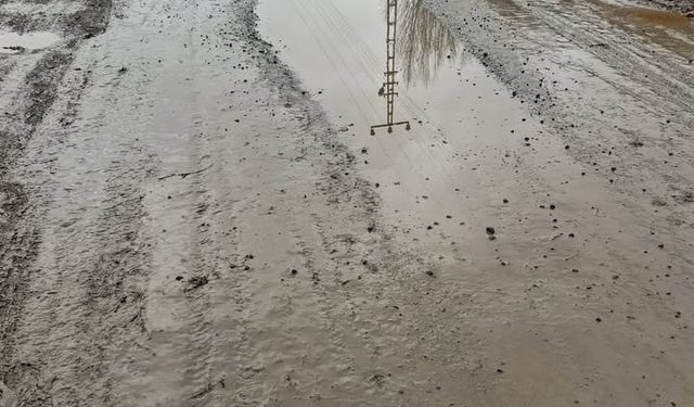 Yukarı Çamurlu Köyünde Yol Çilesi: Öğrenciler Her Gün Çamur İçinde Okula Gidiyor