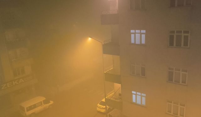 Iğdır'da Gece Yarısı Başlayan Yoğun Sis Hayatı Olumsuz Etkiledi: Görüş Mesafesi 5 Metreye Düştü!