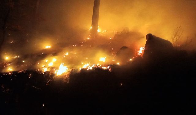 Bozyazı'da çıkan orman yangını kontrol altına alındı