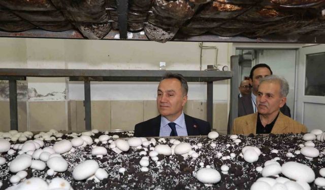 TOGÜ’de üretime dayalı eğitim modelleri güçleniyor