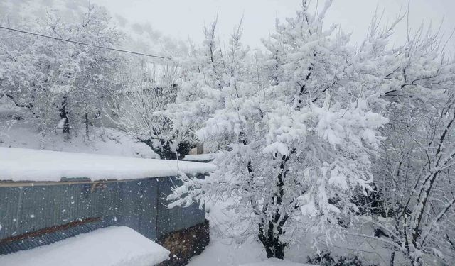 9 ilçede eğitime kar engeli