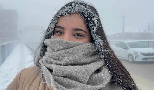 Ağrı'da termometreler eksi 24'ü gösterdi