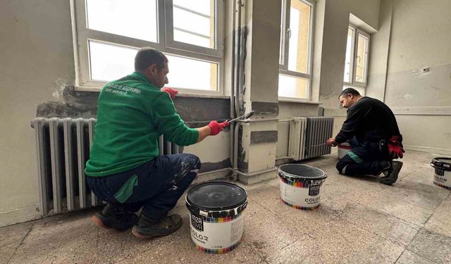 Arif Molu Mesleki ve Teknik Anadolu Lisesi yeniden boyandı