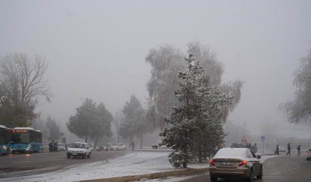 Erzurum'da araç sayısı 152 bin 682 oldu