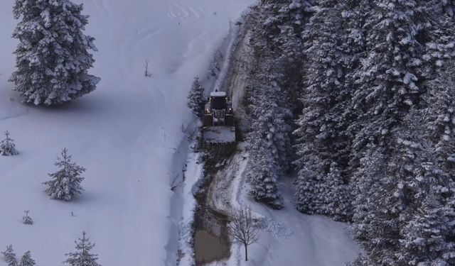 Karla mücadele çalışmaları devam ediyor