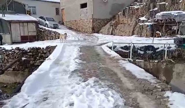 Mahalleli köprüye korkuluk istiyor